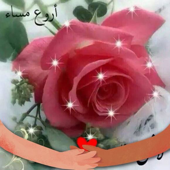 ihab212
